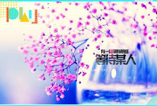 四合院之我不再是傻柱何雨柱娄晓娥许大茂何大清大结局全文阅读