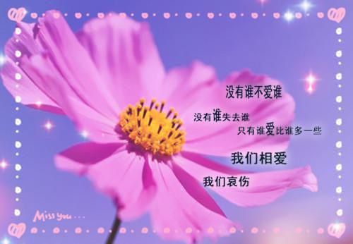 裴司砚江苡禾（江苡禾裴司砚全文）完结阅读无弹窗大结局_裴司砚江苡禾最新章节列表（江苡禾裴司砚全文）