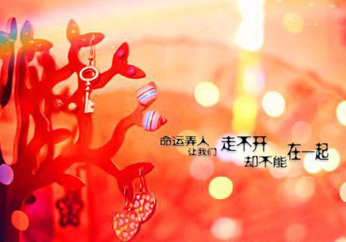纪思清方家鑫小说完整（方家鑫纪思清txt）全文免费阅读无弹窗大结局_纪思清方家鑫最新章节列表（方家鑫纪思清）