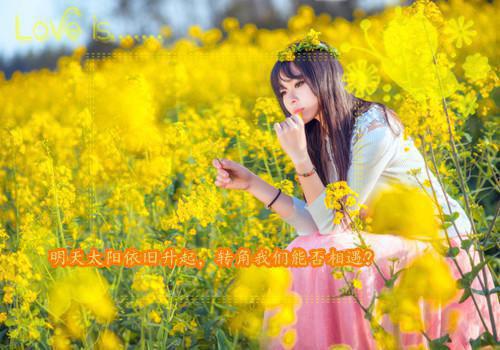 魏容恒杨浅婼（全集小说完整版大结局《魏容恒杨浅婼》）全文阅读