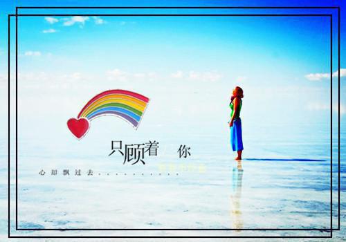 叶迟宛陈见津免费阅读（陈见津叶迟宛）全文免费阅读无弹窗大结局_叶迟宛陈见津免费阅读最新章节列表（陈见津叶迟宛）