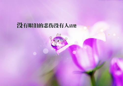朋友是一生的感动美文