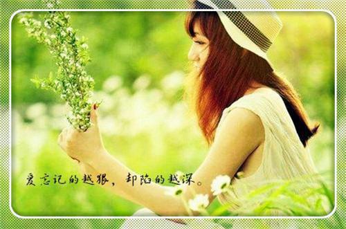 播一颗感恩的种子抒情散文