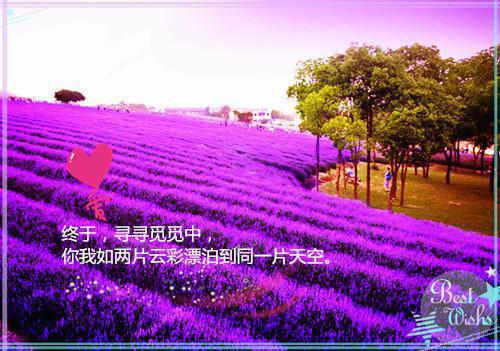 苏橘霍泽（霍泽苏橘）全文免费阅读无弹窗大结局_苏橘霍泽最新章节列表（霍泽苏橘）