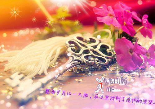 林念初周时慕（林念初周时慕全文）全文免费阅读无弹窗大结局_林念初周时慕全文免费阅读（林念初周时慕全文）