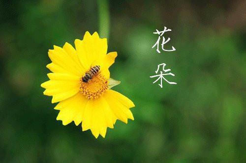 情人节警告小说（刘绍明罗薇）完整版阅读