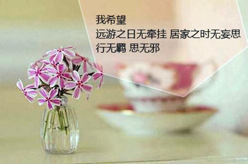 表面亲情小说（赵渔颜瑾）全文免费阅读_（赵渔颜瑾）表面亲情最新章节列表（赵渔颜瑾）