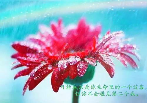 宴书辞洛桑桑（洛桑桑宴书辞）全文免费阅读无弹窗大结局_洛桑桑宴书辞最新章节列表（宴书辞洛桑桑）