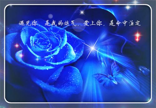 姜馥宁秦舟鹤小说全文(姜馥宁秦舟鹤小说)小说免费阅读无弹窗大结局_姜馥宁秦舟鹤全文无弹窗完整版阅读