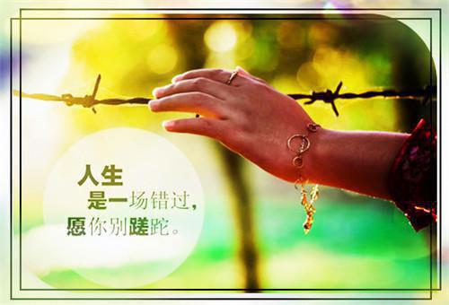 关于环保倡议书锦集十篇