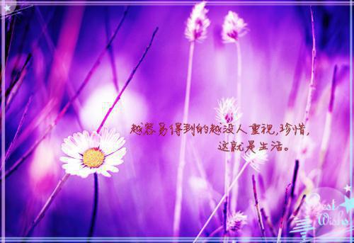 岑宁陆晋全文（陆晋岑宁）完整版小说阅读_岑宁陆晋全本列表免费（陆晋岑宁）