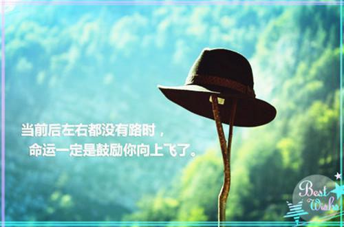颜芷宋成朗免费小说 颜芷宋成朗在线阅读