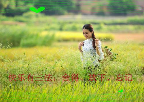 江苡禾裴司砚全文（裴司砚江苡禾）完结阅读无弹窗大结局_江苡禾裴司砚全文免费阅读最新章节列表（裴司砚江苡禾）