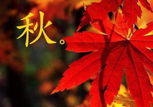 姜今夏靳西清（姜今夏靳西清小说）全文免费阅读无弹窗大结局_姜今夏靳西清免费阅读最新章节列表（姜今夏靳西清小说）