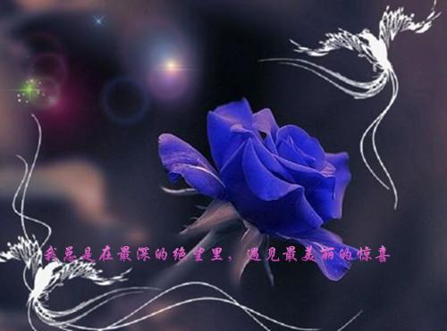 情人节说说心情短语 说说图片心情短语