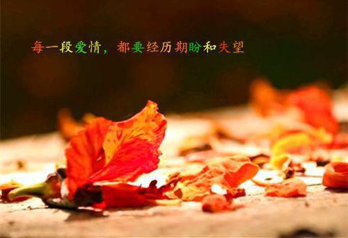 舒虞周寒野（周寒野舒虞）全文免费阅读_（周寒野舒虞）最新章节小说免费阅读（舒虞周寒野）