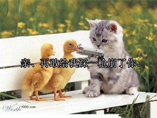 霍梵荀欢（荀欢霍梵完结）全文免费阅读无弹窗大结局_(荀欢霍梵完结全文免费阅读大结局)最新章节列表（霍梵荀欢）