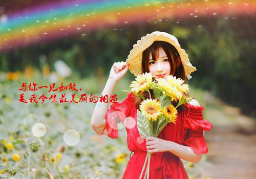 许博明娶欧阳如静全文免费阅读小豌豆完结版阅读