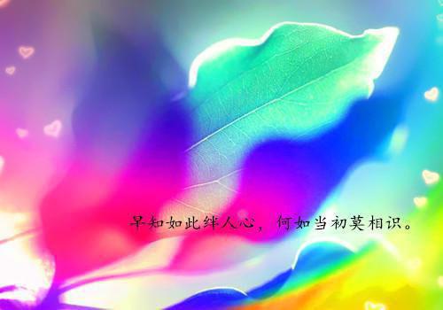 席南珞沈鹤全文免费阅读（沈鹤席南珞）全文免费阅读无弹窗大结局_(沈鹤席南珞)席南珞沈鹤免费阅读无弹窗最新章节列表（沈鹤席南珞）