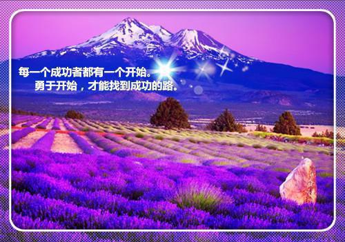 裴子澈沈长歌（全集小说完整版大结局《裴子澈沈长歌》）全文阅读