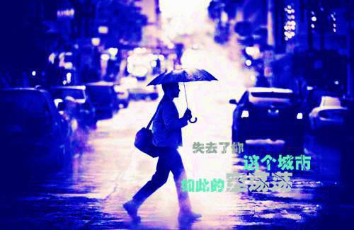 苏青珞陆衡之今日阅读更新-（苏青珞陆衡之）全文免费阅读-苏青珞陆衡之