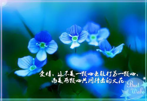 绿色环保低碳生活倡议书