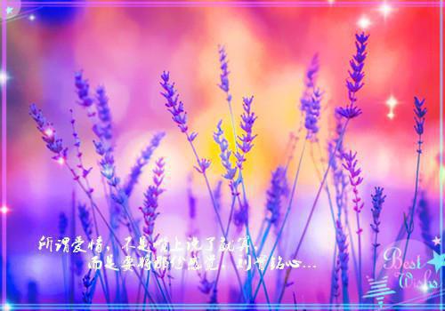 血色凝望（谢棠陆彦）全文免费阅读无弹窗大结局_（血色凝望）血色凝望最新章节列表（血色凝望）