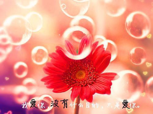 大班幼儿教师教育随笔3篇