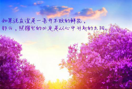 何锦顾朝小说免费(何锦顾朝)全文免费阅读无弹窗-何锦顾朝最新章节列表