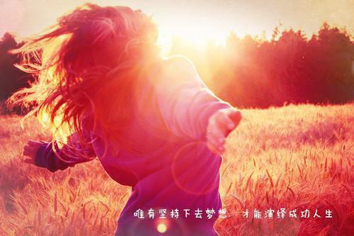 沈星秦霄小说（秦霄沈星）完结阅读无弹窗大结局_沈星秦霄小说免费阅读最新章节列表（秦霄沈星）