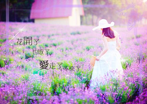 独家小说《云泽祁颜玉凰》颜玉凰云泽祁全文免费阅读无弹窗_云泽祁颜玉凰番外最新小说（颜玉凰云泽祁）