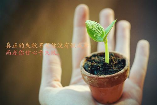叶迟宛陈见津小说（陈见津叶迟宛）全文免费阅读无弹窗大结局_ (陈见津叶迟宛免费阅读)最新章节列表（陈见津叶迟宛）
