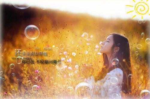 陈平常念小说在线阅读 陈平常念最新章节目录