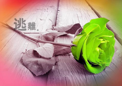 陆寒时 姜茉全文(陆寒时 姜茉全文)全文免费阅读无弹窗大结局_(陆寒时 姜茉全文全本在线阅读)陆寒时 姜茉全文最新章节列表（陆寒时 姜茉全文）