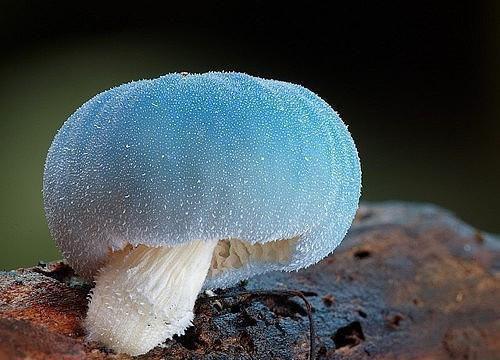 《悠悠盛夏》最新章节by佚名完整版在线阅读