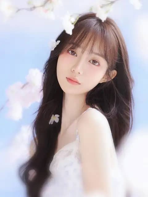 谢星眠顾予安免费全章节_将死的他逆流成河连载篇阅览