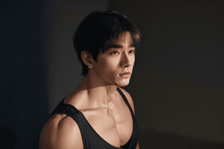 国家最高任务三个月让我成顶流新章节阅读_林凡苏晚晴全文在哪看