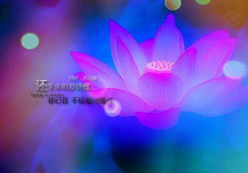 往昔花魁:花影归离全文免费阅读(凌霜月方妙笙)全文免费凌霜月方妙笙读无弹窗大结局_云上(大梦小说免费凌霜月方妙笙读)凌霜月方妙笙免费凌霜月方妙笙读无弹窗最新章节列表（凌霜月方妙笙）