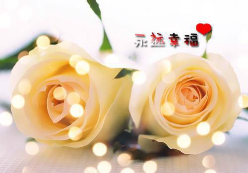 盛笙笙靳凛全文阅读（盛笙笙靳凛小说）全文免费阅读无弹窗大结局_盛笙笙靳凛全文阅读最新章节列表（盛笙笙靳凛小说）