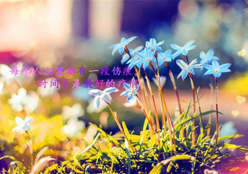 不孝儿子都滚开，儿媳随我去仙界于在溪小说（不孝儿子都滚开，儿媳随我去仙界于在溪）全文免费阅读-不孝儿子都滚开，儿媳随我去仙界于在溪全文阅读无弹窗