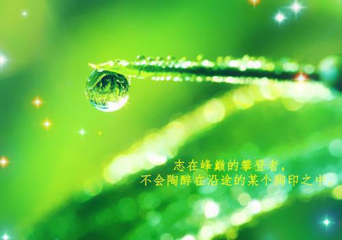 覃淮州许知南全文（许知南覃淮州）在线完结版小说阅读_覃淮州许知南全本列表免费（许知南覃淮州）