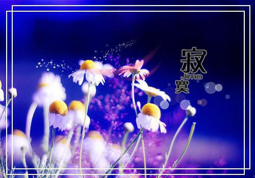 叶望瑜薄丞佑全文（叶望瑜薄丞佑）全文免费阅读无弹窗大结局_（叶望瑜薄丞佑）叶望瑜薄丞佑最新章节列表（叶望瑜薄丞佑）