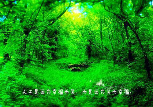 世界成功名言激励语 激励勤学上进的名言警句