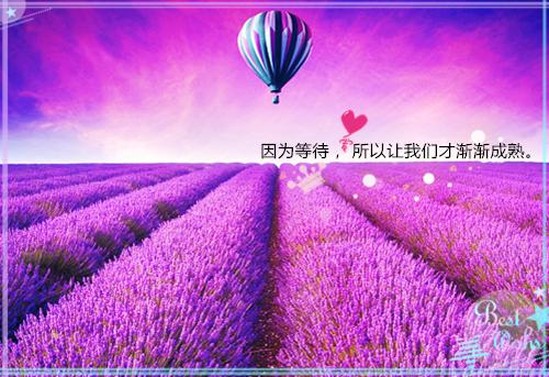 宋旸李殊锐全文免费 宋旸李殊锐在线阅读