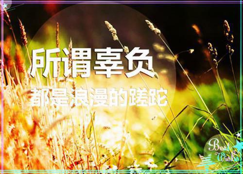 独家小说《顾浅谢承》顾浅谢承全文免费阅读无弹窗_顾浅谢承最新小说（顾浅谢承）