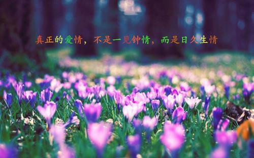 洛瑶瑶御傲天小说 洛瑶瑶御傲天免费阅读