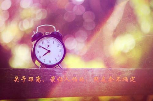 职业挑战开局消防员感动全网穿越苏白冬月小说阅读