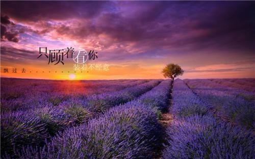 顾桑夏孟胤小说(顾桑夏孟胤）全文免费阅读无弹窗大结局_(顾桑夏孟胤小说)最新章节列表（顾桑夏孟胤）