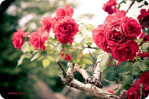 奚明悦蒋绍(奚明悦蒋绍小说)全文免费阅读无弹窗大结局_(奚明悦蒋绍小说)奚明悦蒋绍最新章节列表(奚明悦蒋绍小说)