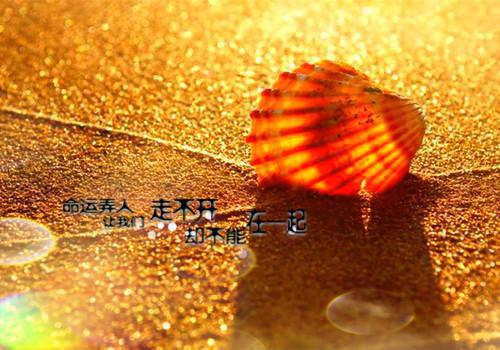 潜龙神卫赵东苏菲 潜龙神卫西装暴徒全文免费阅读